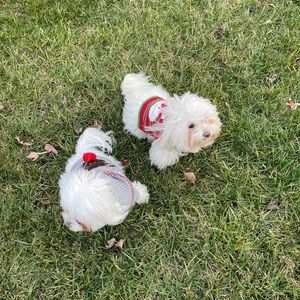 Meet your Posher, Runa